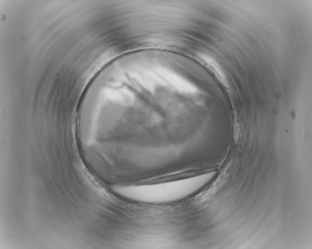 X0000088220899200706051319