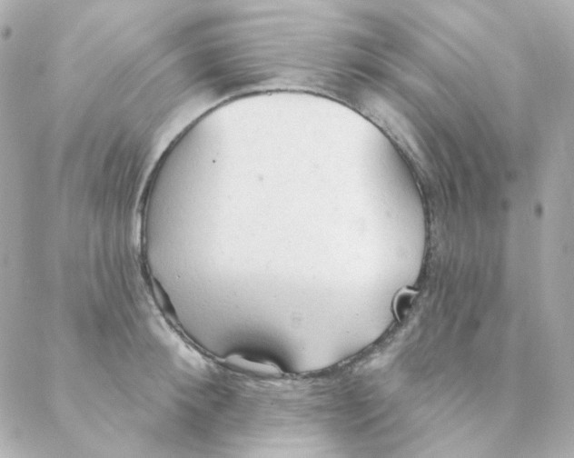 X0000088220900200706051319