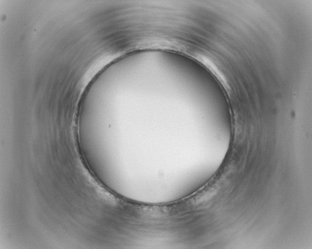 X0000088220901200706051319