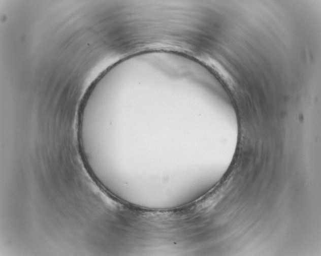 X0000088220902200706051319