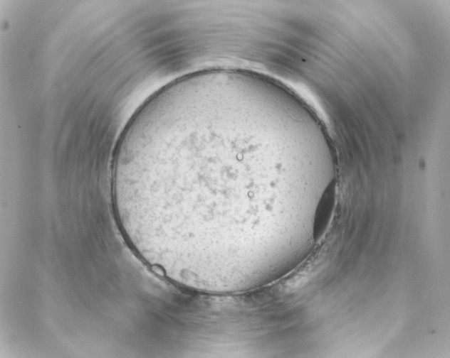 X0000088220903200706051319