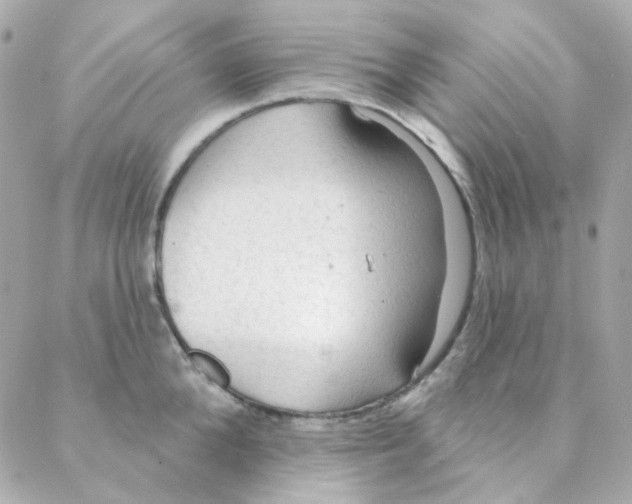 X0000088220904200706051319