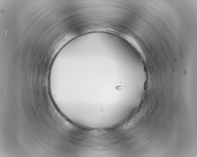 X0000088220906200706051319