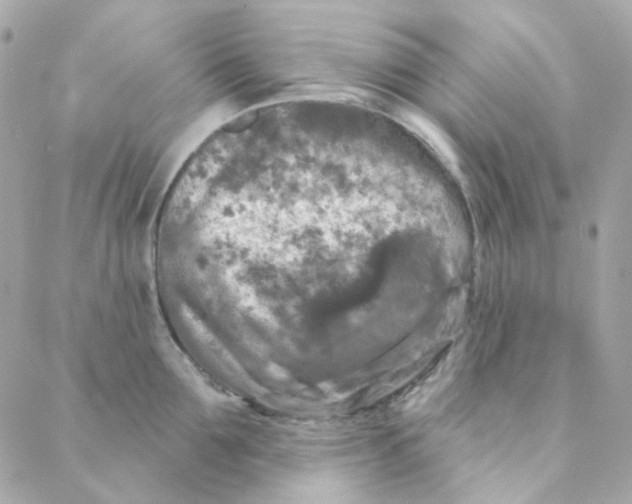 X0000088220907200706051319