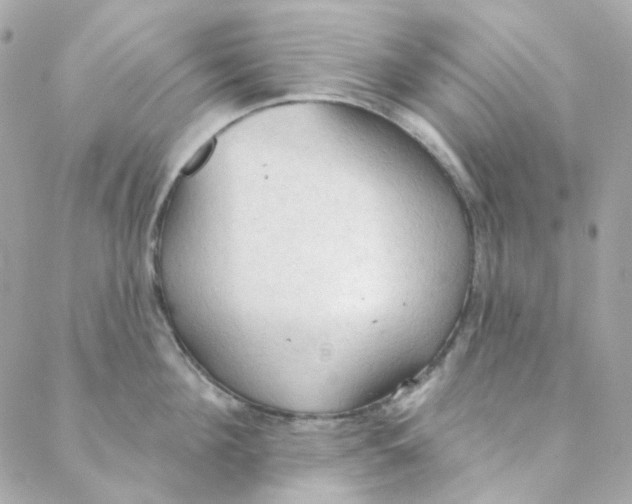 X0000088220908200706051319