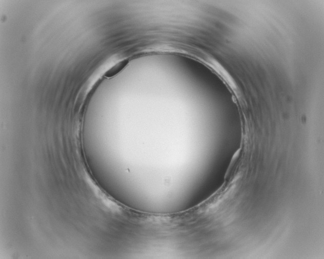 X0000088220909200706051319