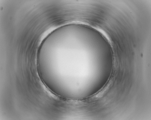 X0000088220910200706051319