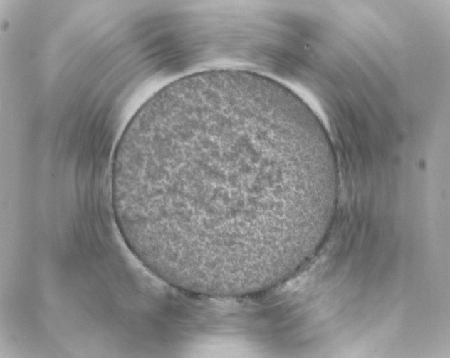 X0000088220911200706051319