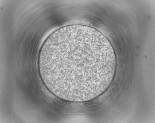 X0000088220912200706051319