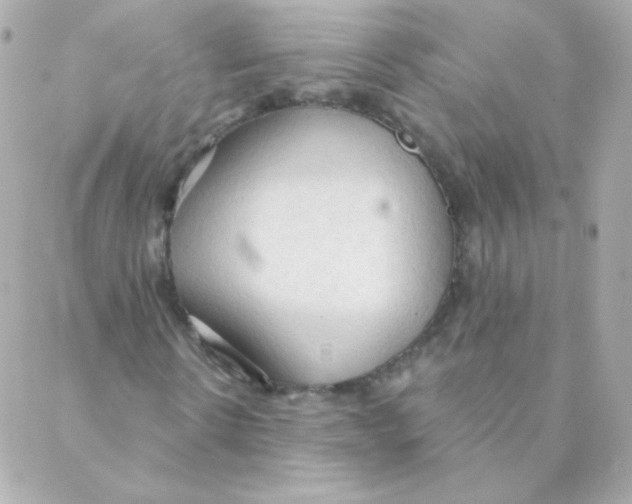 X0000088220914200706051318