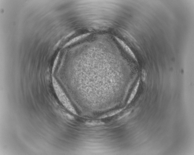 X0000088220915200706051318