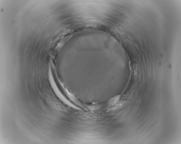 X0000088220916200706051318