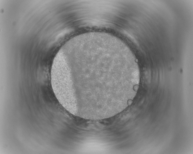 X0000088220918200706051318