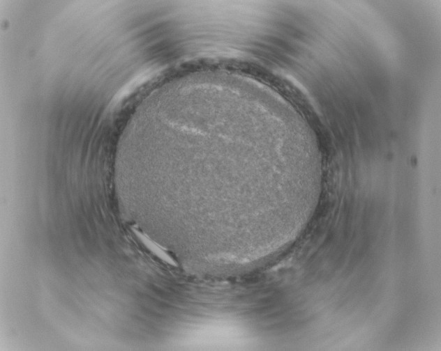 X0000088220919200706051319