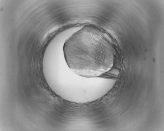 X0000088220920200706051319