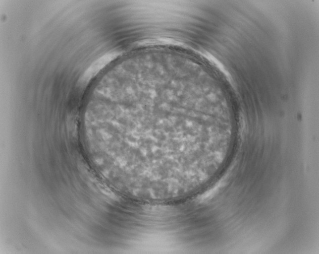 X0000088220921200706051319