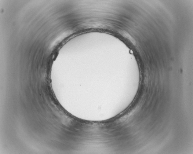 X0000088220922200706051319