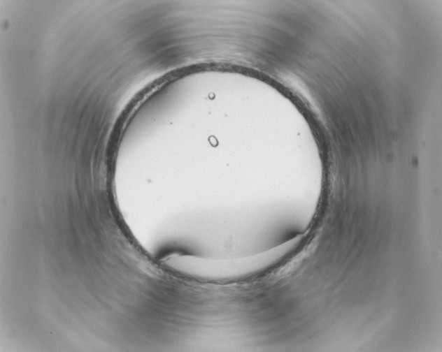 X0000088220924200706051319