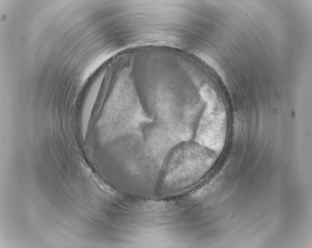 X0000088220925200706051319