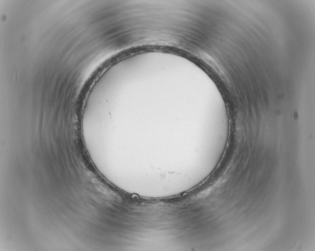 X0000088220926200706051319