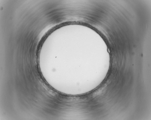 X0000088220927200706051319