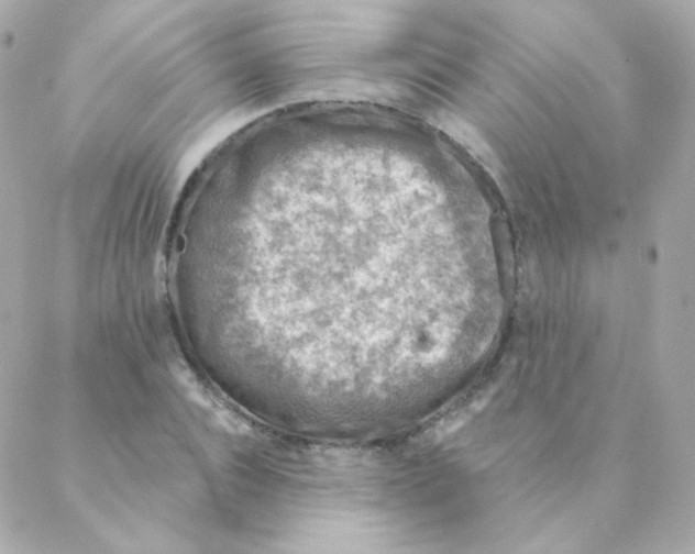 X0000088220928200706051319