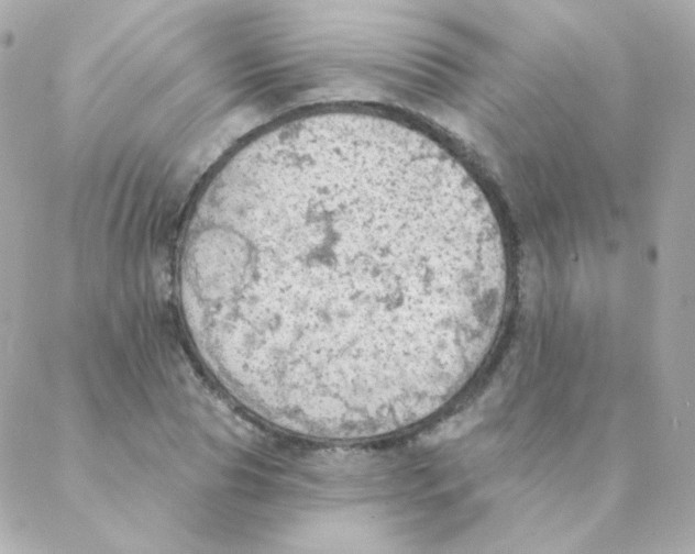 X0000088220929200706051319