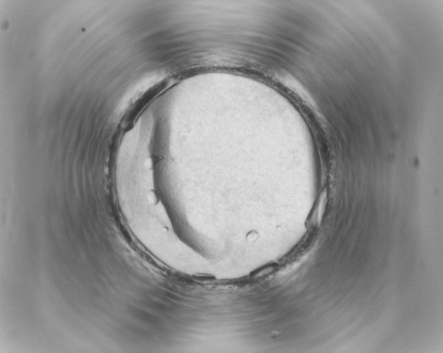 X0000088220930200706051319