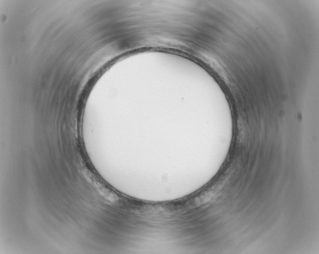 X0000088220931200706051319