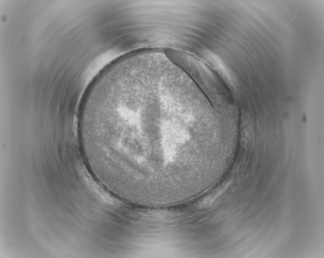 X0000088220932200706051319