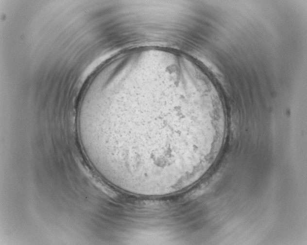 X0000088220933200706051319