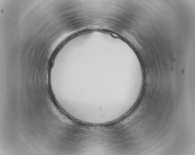 X0000088220934200706051319