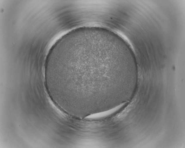 X0000088220935200706051319