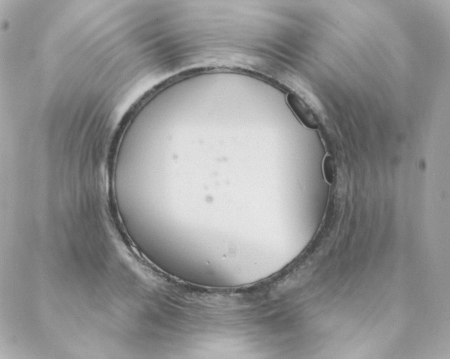 X0000088220936200706051319