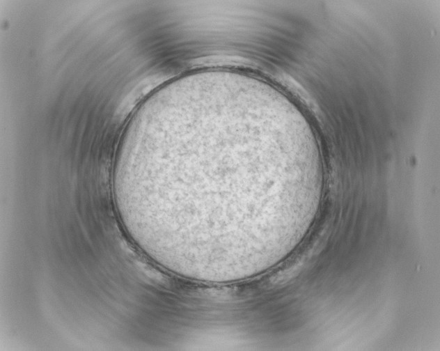 X0000088220937200706051319