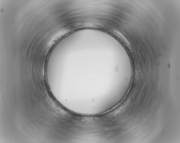 X0000088220938200706051319