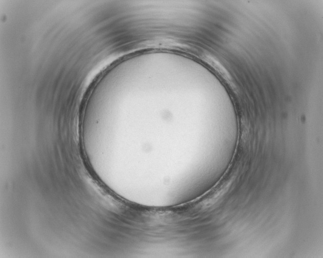 X0000088220939200706051319