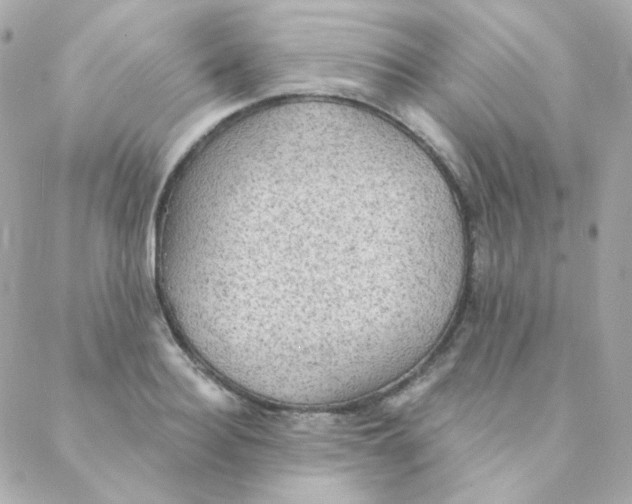 X0000088220940200706051319