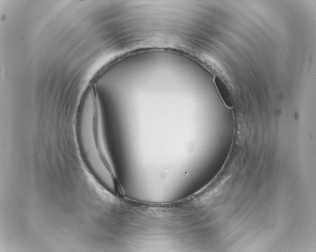 X0000088220942200706051319