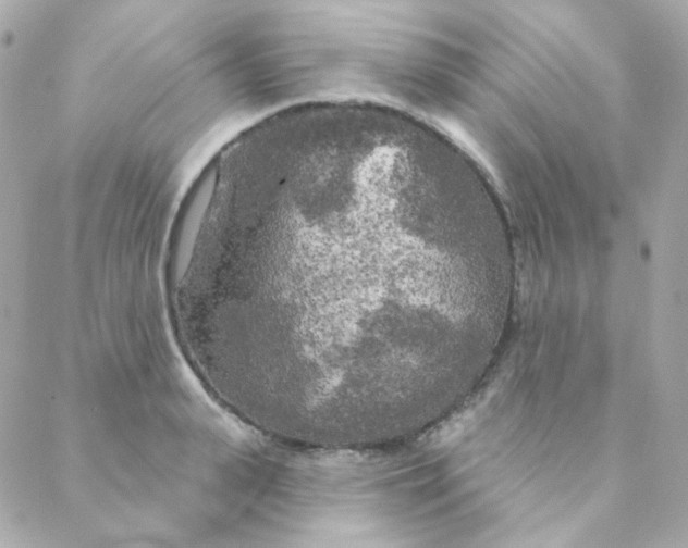 X0000088220943200706051319