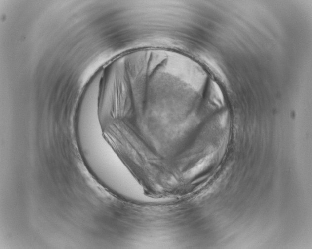 X0000088220944200706051319