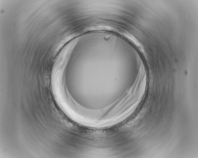 X0000088220945200706051319