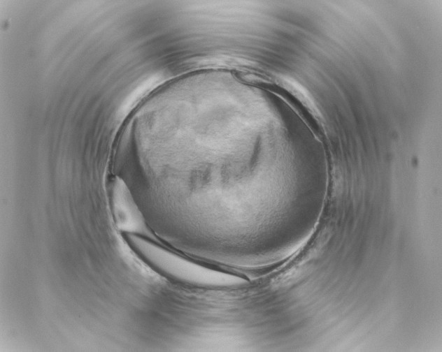 X0000088220946200706051319