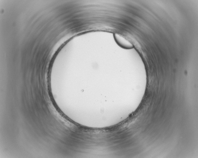 X0000088220947200706051319