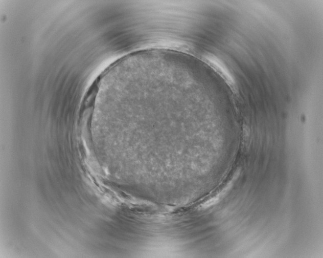 X0000088220948200706051319