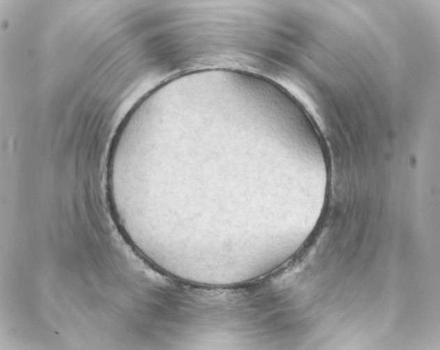 X0000088220949200706051319