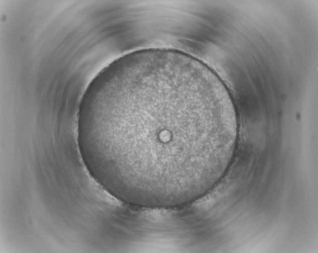 X0000088220950200706051319