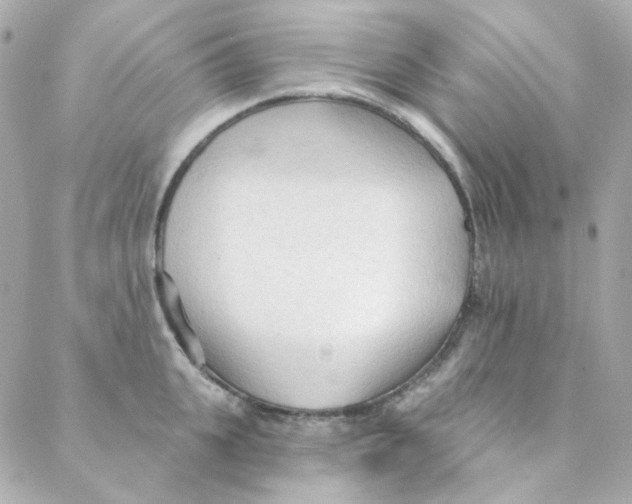 X0000088220951200706051319