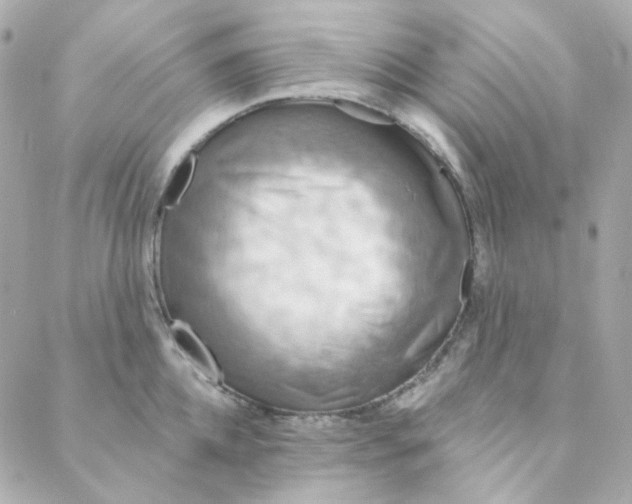 X0000088220952200706051319