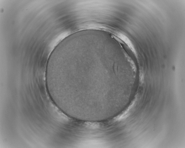 X0000088220954200706051319